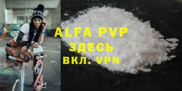 ешки Белокуриха