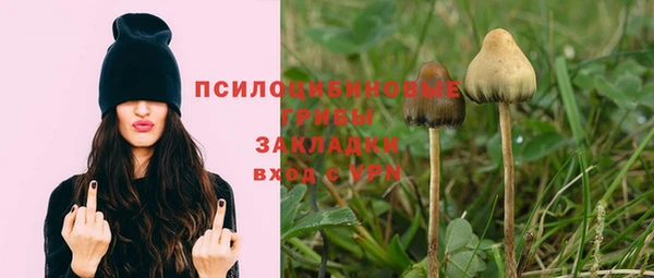 ГАЛЛЮЦИНОГЕННЫЕ ГРИБЫ Баксан
