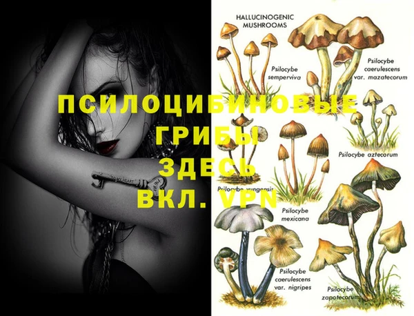 spice Балабаново