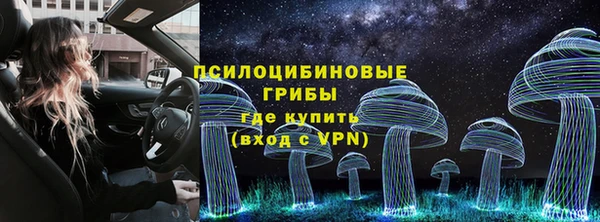 spice Балабаново
