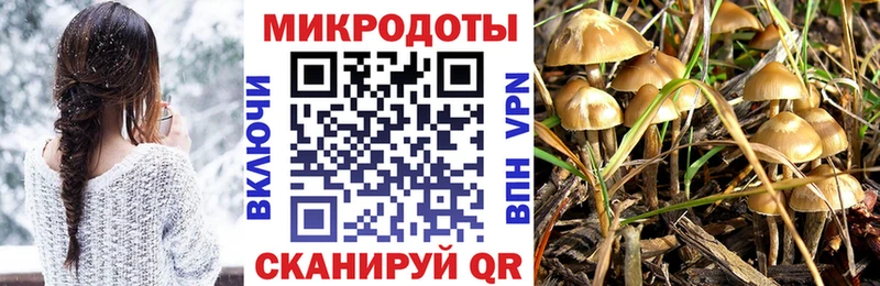Псилоцибиновые грибы прущие грибы  hydra ТОР  Салаир 